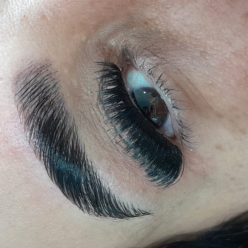 مژه