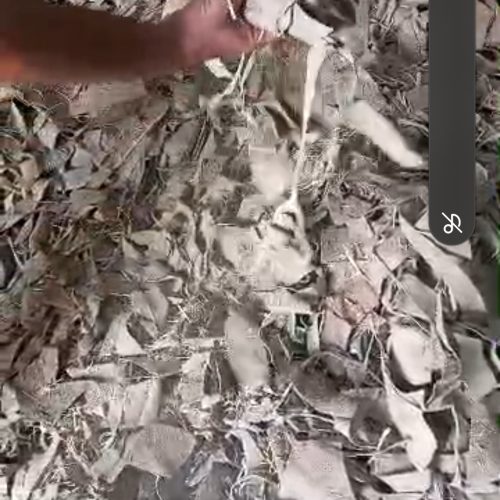 ضایعات چرم بز