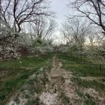 باغ 2500متری در اسفهلان