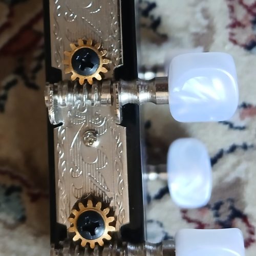 گیتار پیکاپ خور