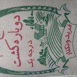 برنج طارم فریدون کنار