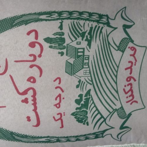 برنج طارم فریدون کنار