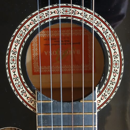 گیتار پیکاپ خور