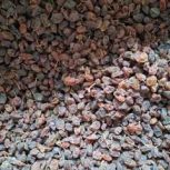 کشمش تاکستان