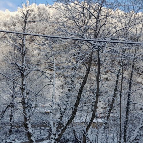 اجاره ویلا روزانه /در دل جنگل کوه و ردوخانه