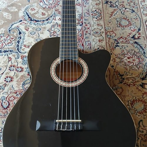 گیتار پیکاپ خور