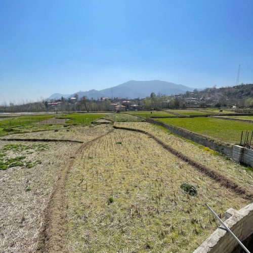 اجاره روزانه ویلا