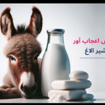 سلامتی با خوردن شیر الاغ  باخرز