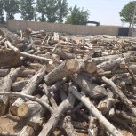 چوب شمارا با بالاترین قیمت خریداریم