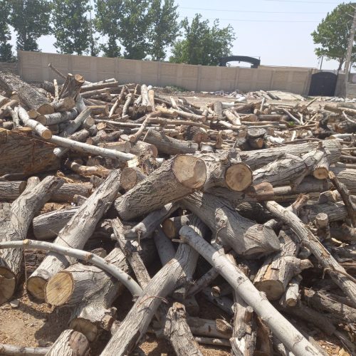 چوب شمارا با بالاترین قیمت خریداریم