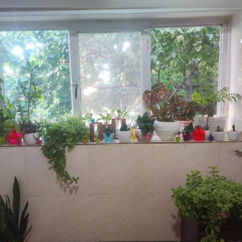 اجاره سوئیت منزل در همدان و غارعلیصدر