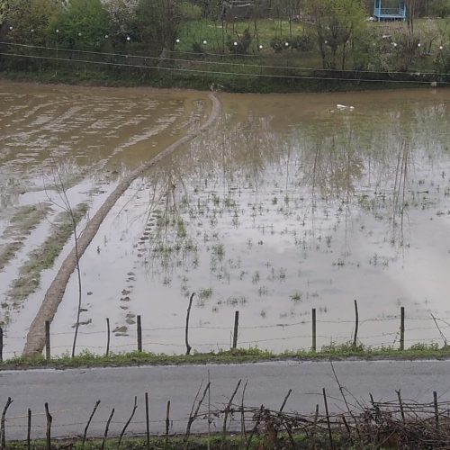 مشارکت و سرمایه گزاری در گردشگری