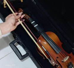 ویولن(ویالن)