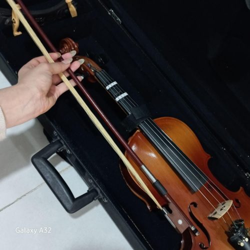 ویولن(ویالن)