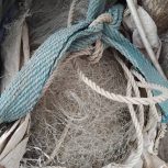 طور. کزاری درحد نو