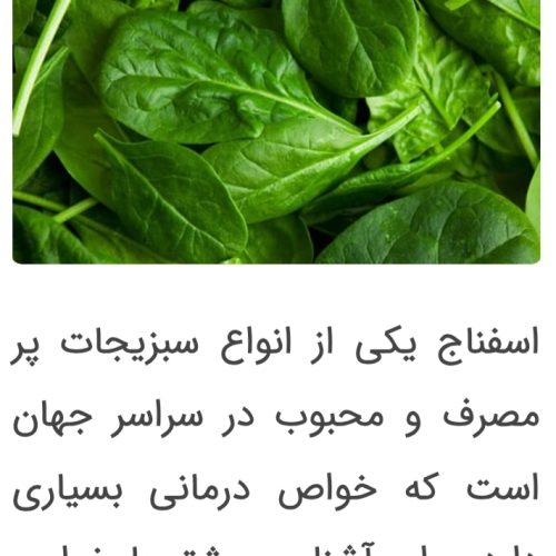 اسفناج تازه فوری