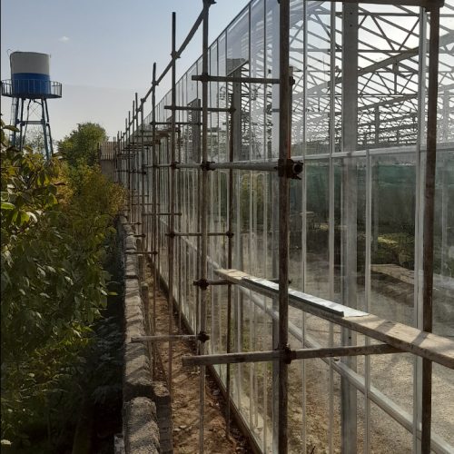 داربست و ایزوگام