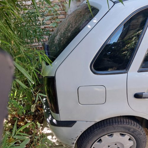 فلوکس گل سفید