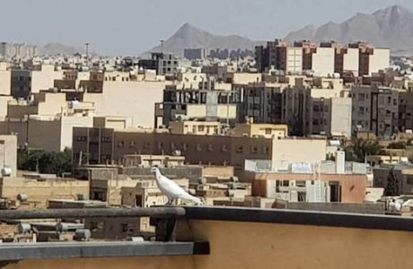 حال ناخوش بازار مسکن / کسی خانه نمی‌خرد! + جدول قیمت‌ها