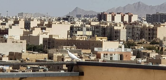 حال ناخوش بازار مسکن / کسی خانه نمی‌خرد! + جدول قیمت‌ها
