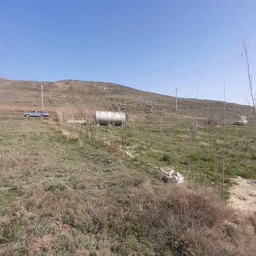فروش زمین باغی