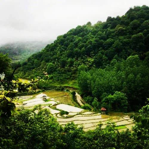 مازندران فروش زمین مسکونی 852متر