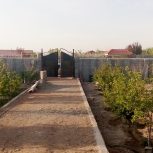 فروش باغ هزار و صد متری