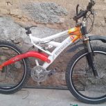 دوچرخه حرفه ای