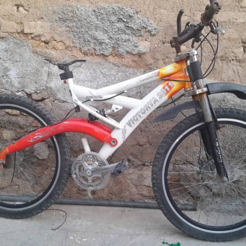 دوچرخه حرفه ای