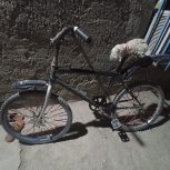 یک عدد دوچرخه 24