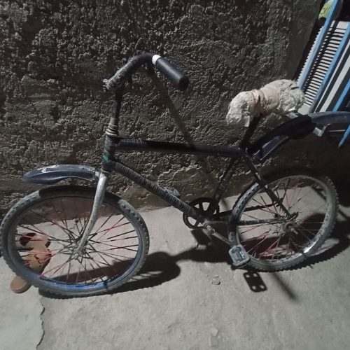 یک عدد دوچرخه 24