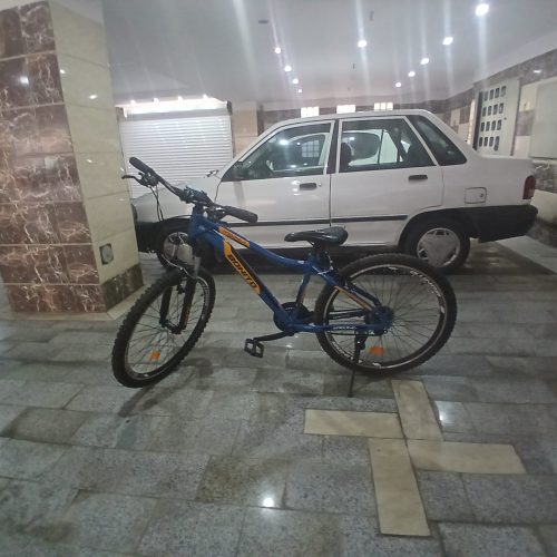 البرز بنفشه