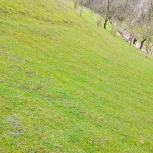 زمین کوه پایه ای