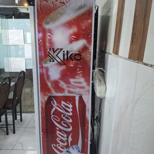 یخجال ایستاده