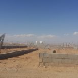 زمین باغی با سند تک برگ اقساطی بدون بهره