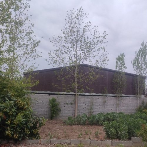 فروش زمین 160 متری قیمت توافقی بابلسر روستای رودبست