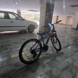 البرز بنفشه