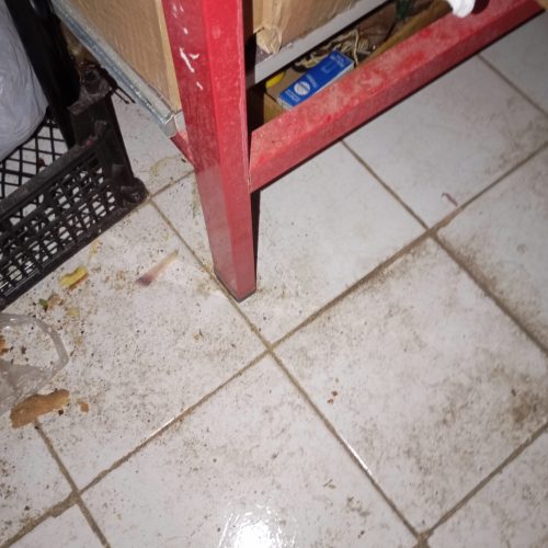 چهارپایه فلزی ،قد 1/80