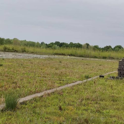 فروش چند قطعه زمین داخل بافت در نور مازندران