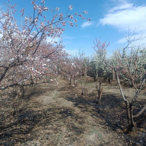 مشکل آب ندارد . سند 6 دانگ .گاز هم در طرح هادی است و مشکلی ندارد و زود حل می‌شود