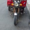 موتور سه چرخ