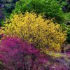 خدمات رایانه ای وموبایل