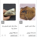 فروش سنگ شجرفسیلی