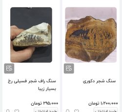 فروش سنگ شجرفسیلی