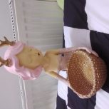 مجسمه خوشگل