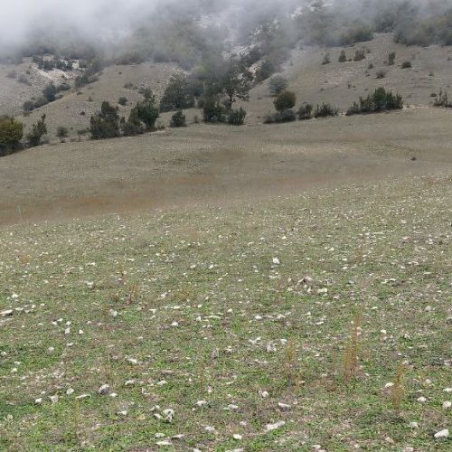 3100متر زمین خارج از بافت زیر قیمت.قیمت مقطوع