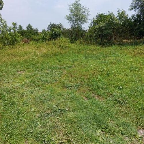 زمین مسکونی رامسر ،بلوار عباس مفرد