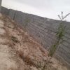 فروش باغ