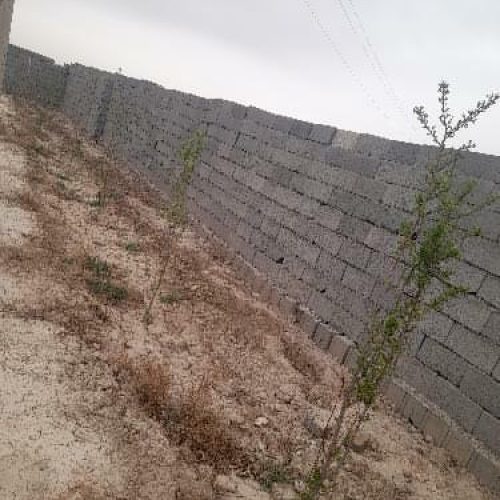 فروش باغ