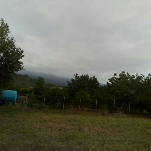 فروش زمین 1000متری تک برگ سند در بهشهر